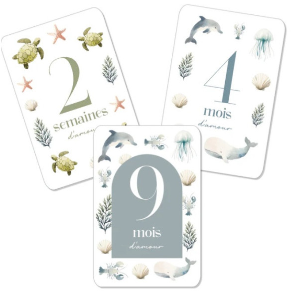 cartes-etapes-ocean-les-petites-mains-de-melanie 2